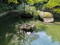 -黄山翡翠谷景区