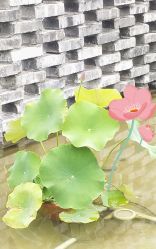 -鸿涛阁宴会中心