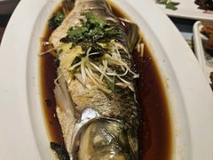 -七菜馆·东北菜·蒸饺(文体路店)