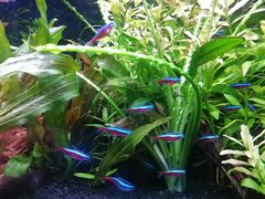 -上海海洋水族馆