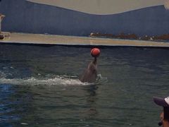 iphone_upload_pic-北戴河圣蓝海洋公园