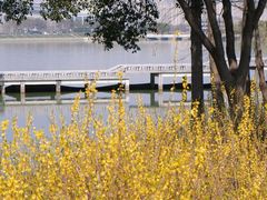 -贡湖湾湿地公园