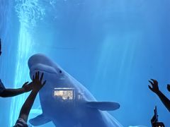 -多彩贵州城极地海洋世界