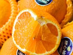 -西郊国际农产品交易中心