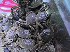 -聚盛源蒸汽海鲜火锅烤肉自助(巨川金海岸购物广场店)