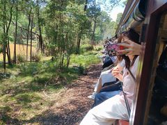 -普芬比利蒸汽火车