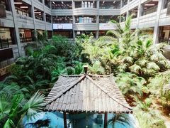 -黑龙江中医药大学附属第一医院