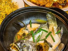 -ZF Seafood Restaurant 卓峰海鲜餐