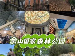 -上海佘山国家森林公园西佘山园