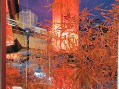 -将军府·鸡毛店(武侯祠店)