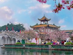 -宝墨园景区