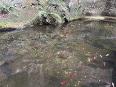 -长屿硐天八仙岩景区