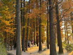 -东湖落雁景区