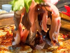 -青山青豆花·笑禅豆腐鱼(黄泥塝店)