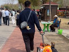 -上海长兴岛郊野公园