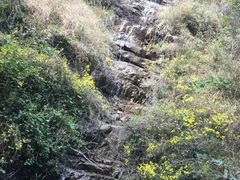 -爱情山风景区