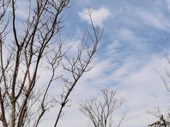 -柳鹭田园区