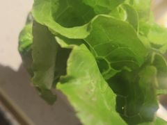 -芝小官毛肚火锅海鲜自助(淮安清江浦区新亚店)