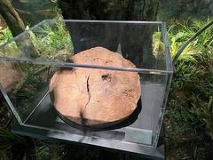 -中国茶叶博物馆(双峰馆区)