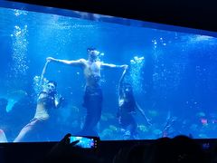 -重庆欢乐海底世界