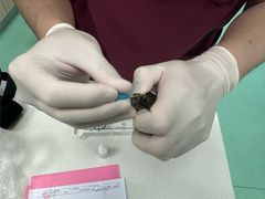 -北京观赏动物医院·24小时大型综合·猫专科·异宠专科