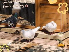 -青岛鑫江温德姆酒店