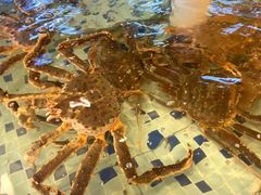 -华都豪生大酒店-中餐厅