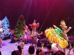 -珠海横琴长隆《卡卡虎奇遇记》