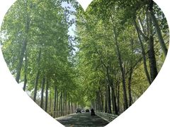 -麦当劳(北京昌金路得来速餐厅店)