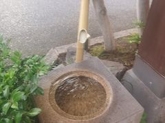 -黒豚料理 寿庵(中央駅西口店)