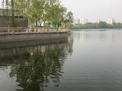 -莲花池公园