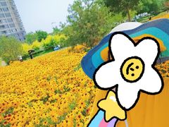 -金梦海湾浴场