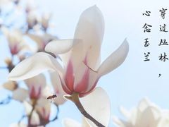 -大连理工大学(凌水校区)