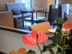 -枣子树素餐厅(铂金城店)