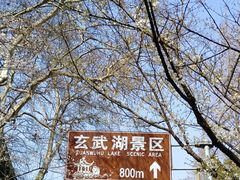 -鸡鸣寺