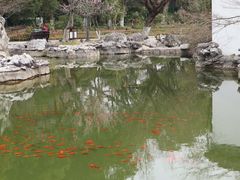 -霸王茶姬(常熟印象城店)