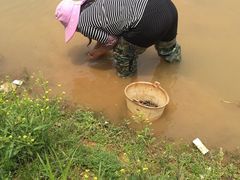 -松山湖南湖湾露营营地