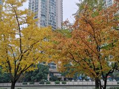 -苏州河梦清园环保主题公园