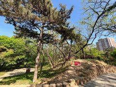 -元大都城垣遗址公园