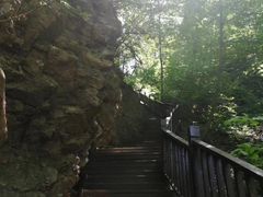 -天女山森林公园