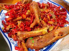 鸭头-鹂纪蜀留香