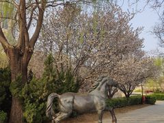 -元大都城垣遗址公园