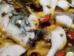 -雲蜀龙阁·金牌水煮鱼(方庄店)