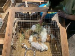 -酷嗒动物文化乐园(cutezoo西溪乐天城店)