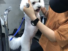 -PETKIT小佩宠物(昭化店)