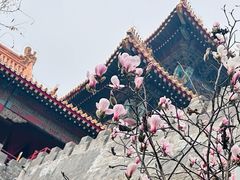 -东华门大街小区