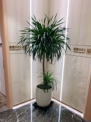 -奥本瑜伽·普拉提