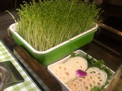鲜活豌豆苗-番食园鲜食火锅(高新店)