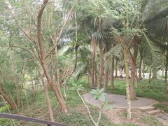 -白沙门生态公园