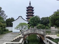 -红梅公园